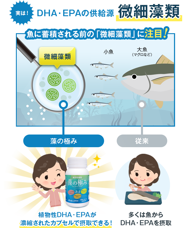 実は！ DHA・EPAの供給源 微細藻類 魚に蓄積される前の「微細藻類」に注目！