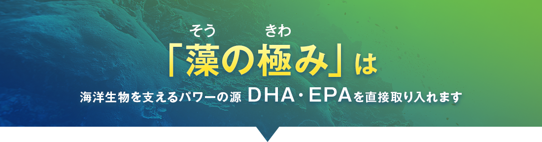 「藻の極み」は海洋生物を支えるパワーの源 DHA・EPAを直接取り入れます