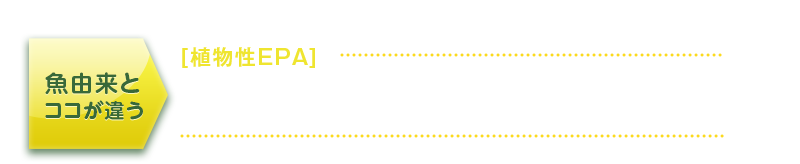 植物性EPA 海洋性微細藻類 ナンノクロロプシス藻体粉末