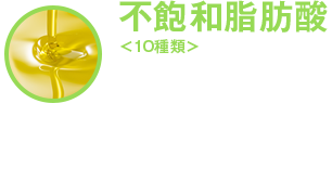 不飽和脂肪酸 10種類