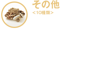その他10種類