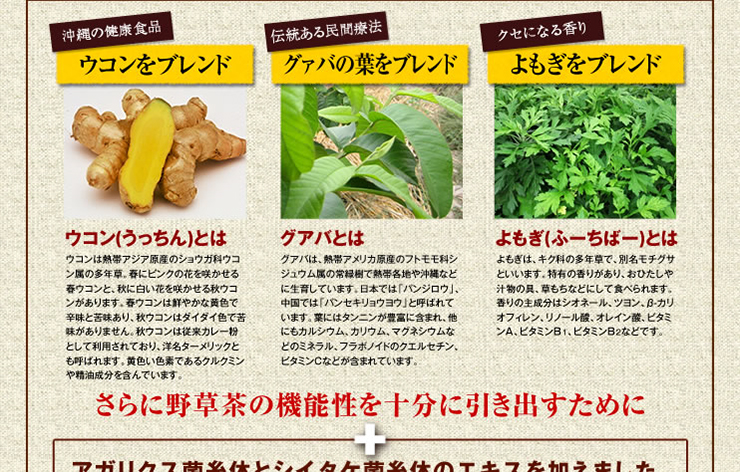 蓬莱仙寿茶（100g）1袋 ｜ 金秀バイオ通販ショップ