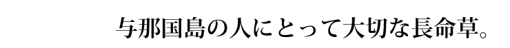 与那国の人