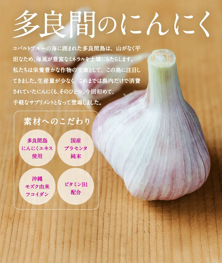 多良間のにんにく