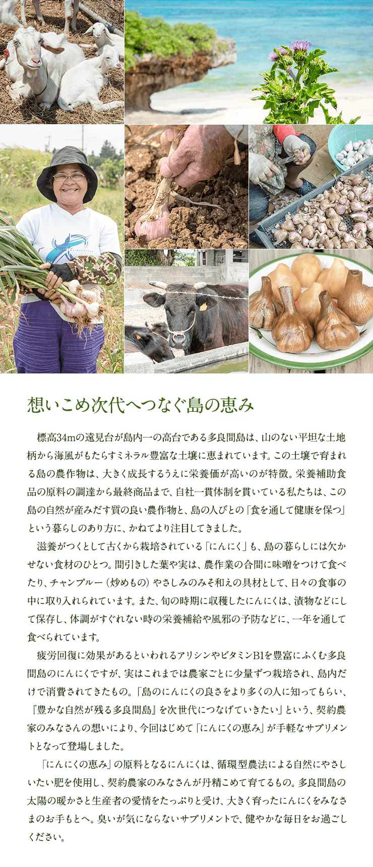 想いこめ次代へつなぐ島の恵み