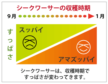 シークワーサーの収穫時期とすっぱさの相関図