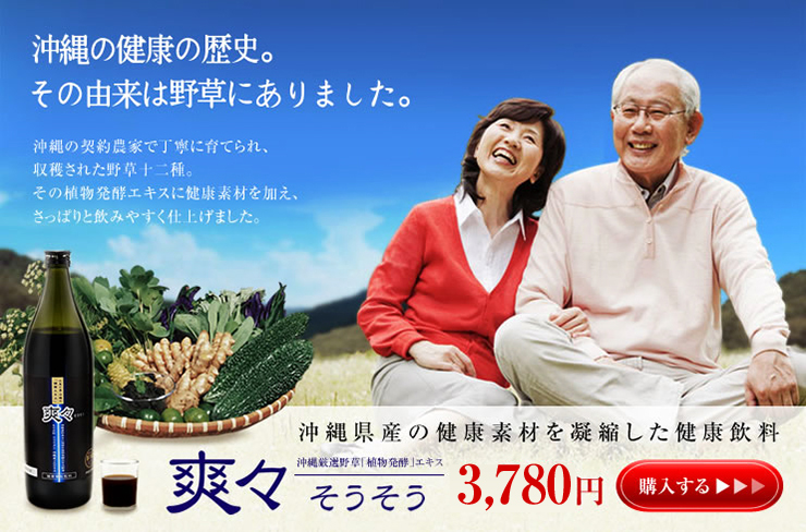 植物発酵エキス 爽々(そうそう) 900ml 4本セット 要冷蔵 金秀バイオ 沖縄産 野草十二種類 もろみ酢 フコイダン ノニエキス 長命草 クミスクチン グァバ葉 スイゼンジナ ハンダマ 秋ウコン ヨモギ ニガウリ 桑の葉 ゴーヤー 春ウコン ホソバワダン カネヒデ かねひで